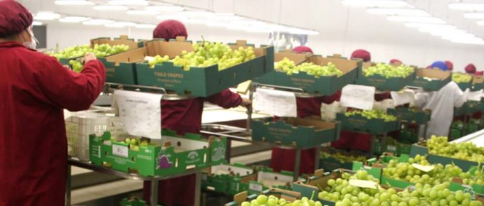 FIA lanza instrumentos para elevar competitividad del agro